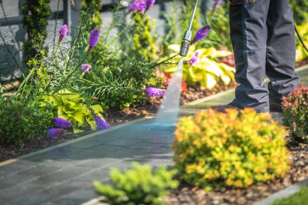 Best Patio and Deck Pressure Washing  in Grain Valley, MO
